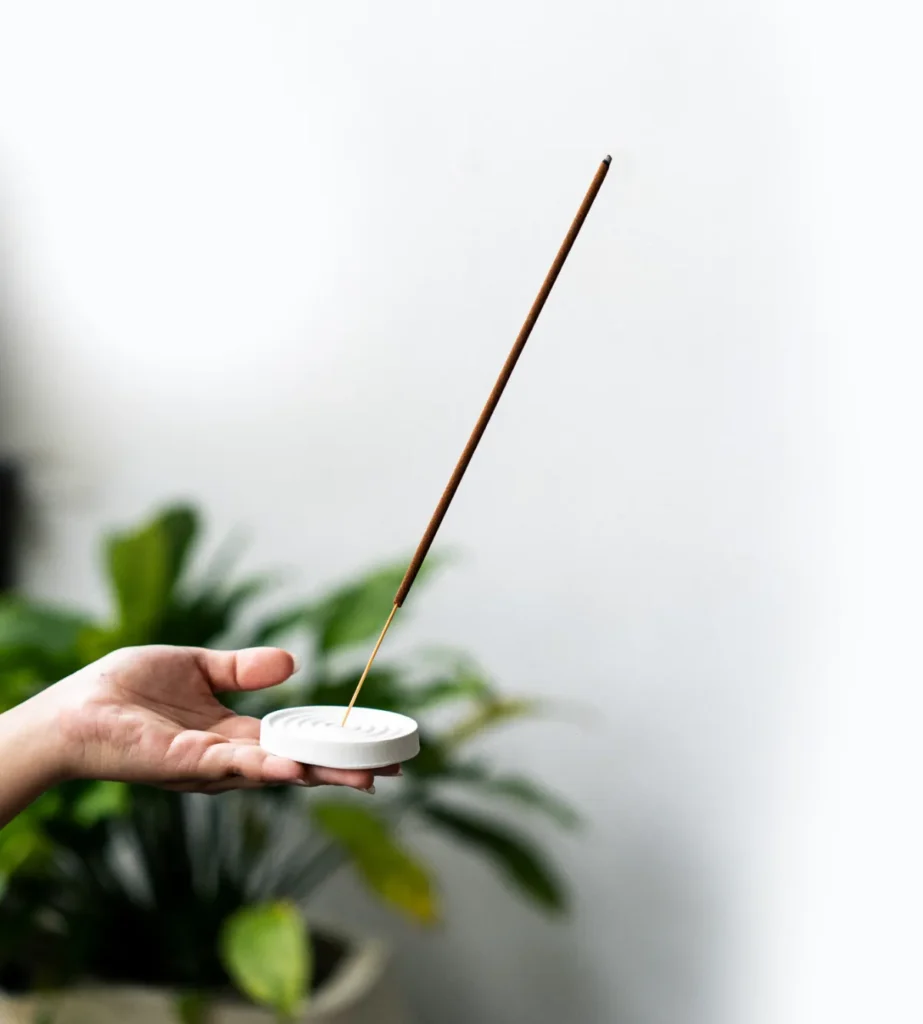 tentang bumi wangi abadi